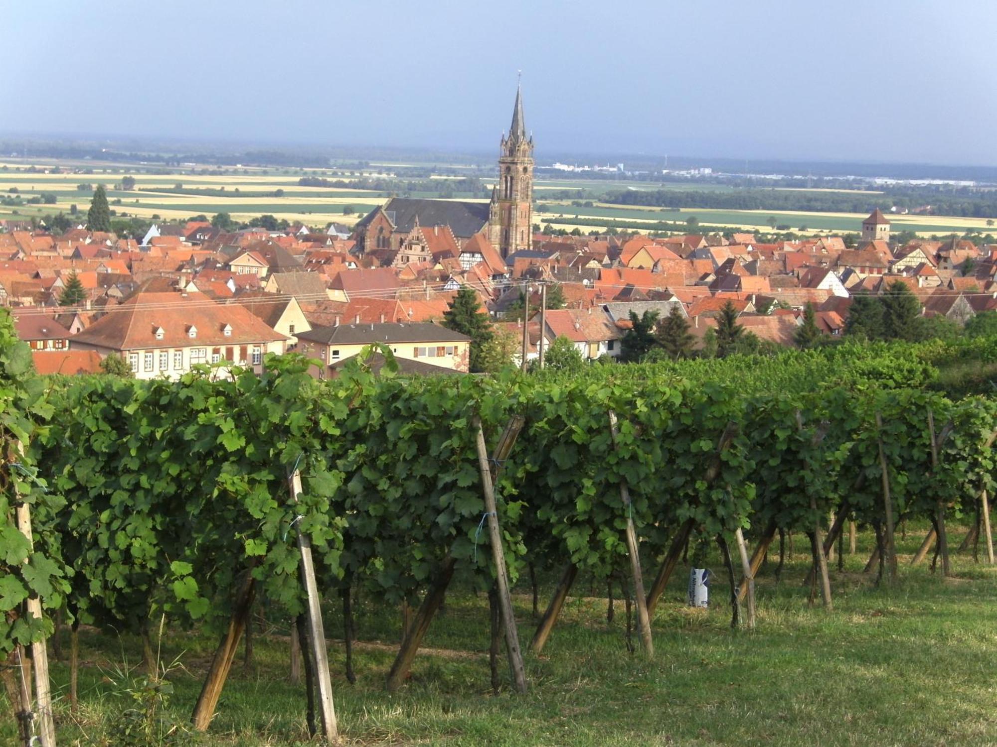Chambres D'Hotes Arnold Dambach la Ville Bagian luar foto